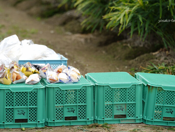 休憩にしましょ~