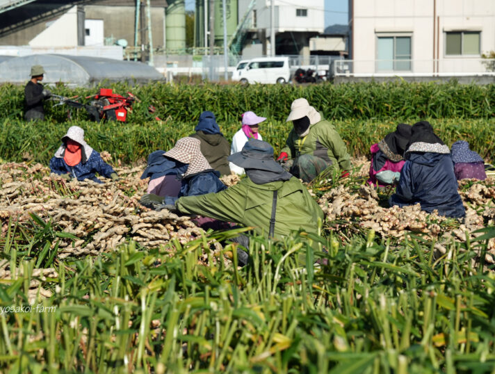もうすぐゴール