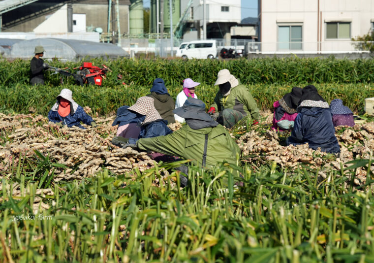 もうすぐゴール