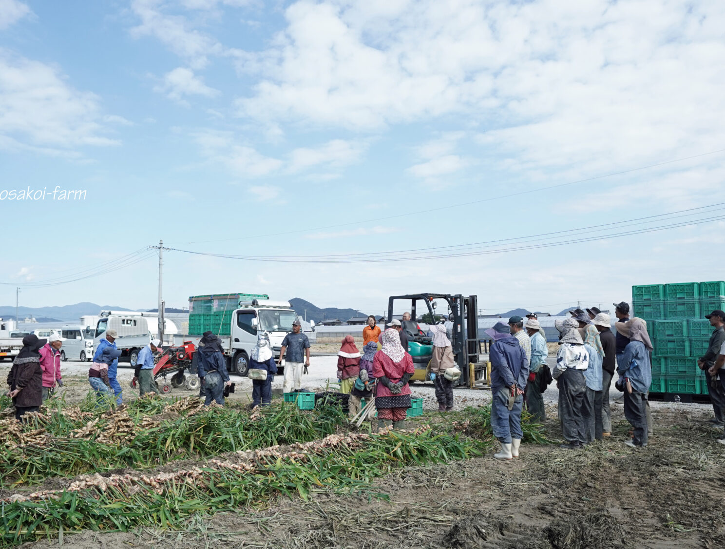 収穫作業終了~♪