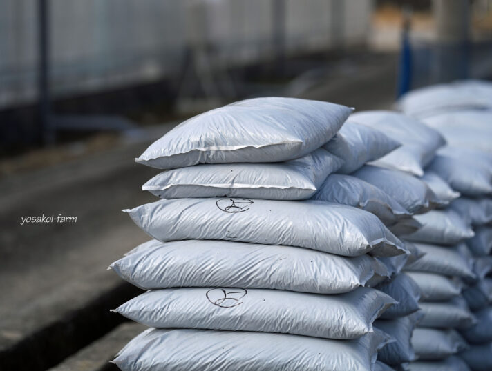 定植に向けて‥