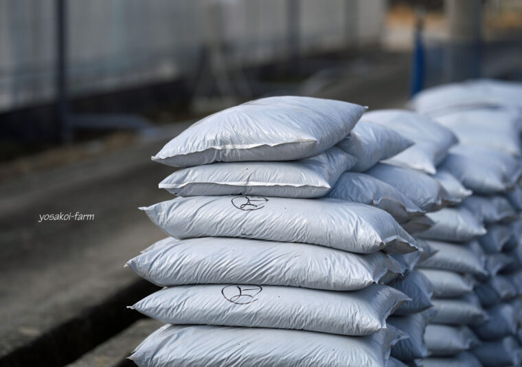 定植に向けて‥