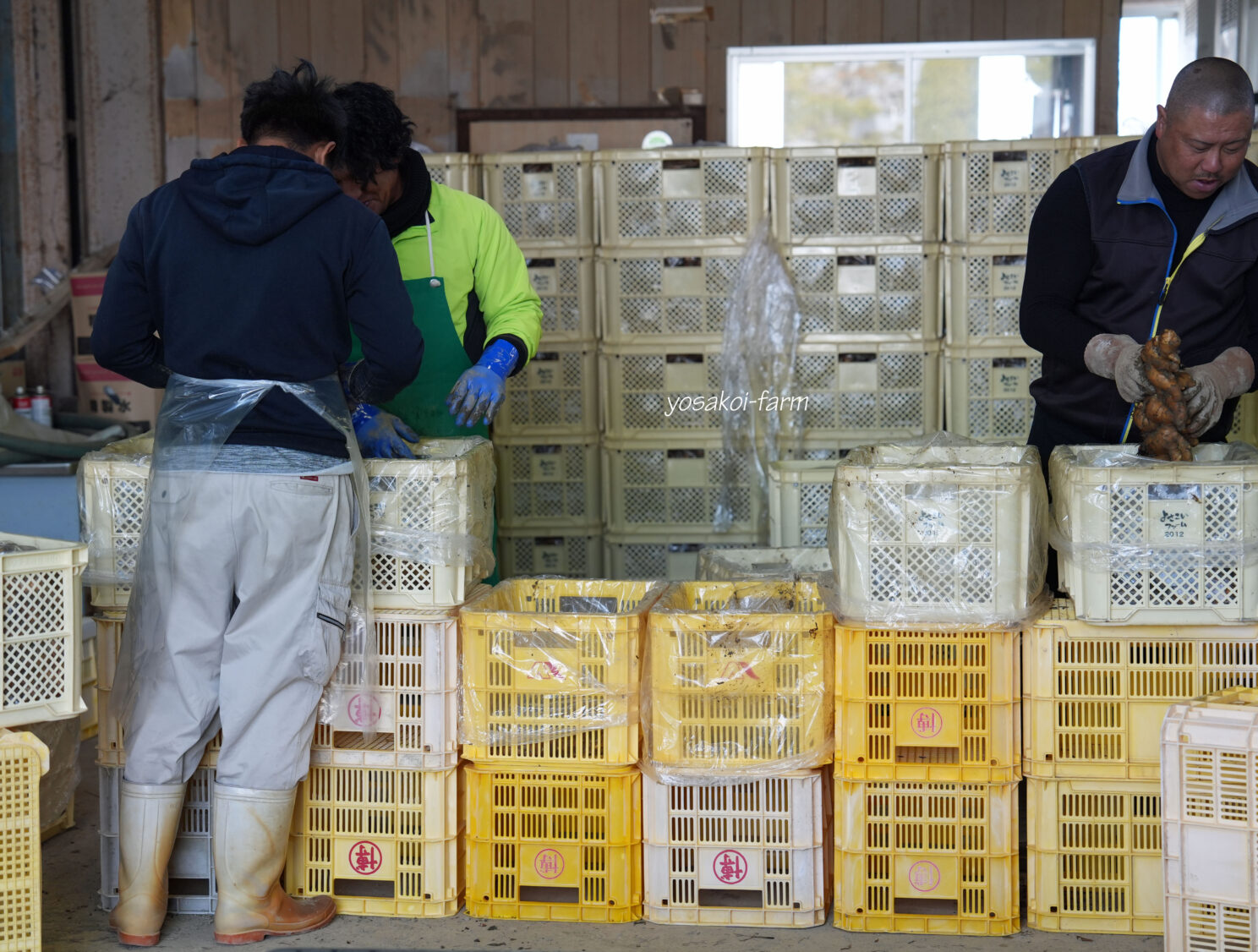 ３月も半ば近くになり••