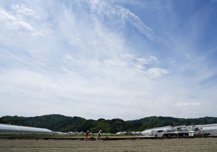 中耕。